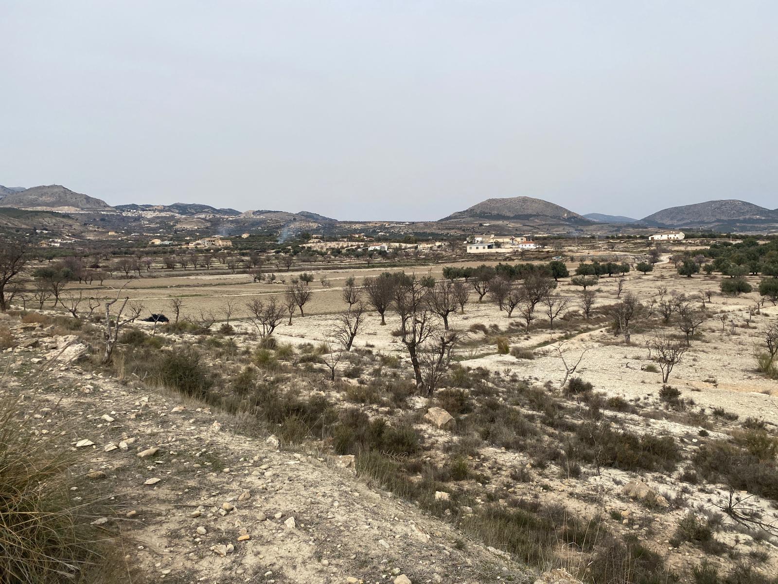 Venta de finca rústica en Vélez-Blanco