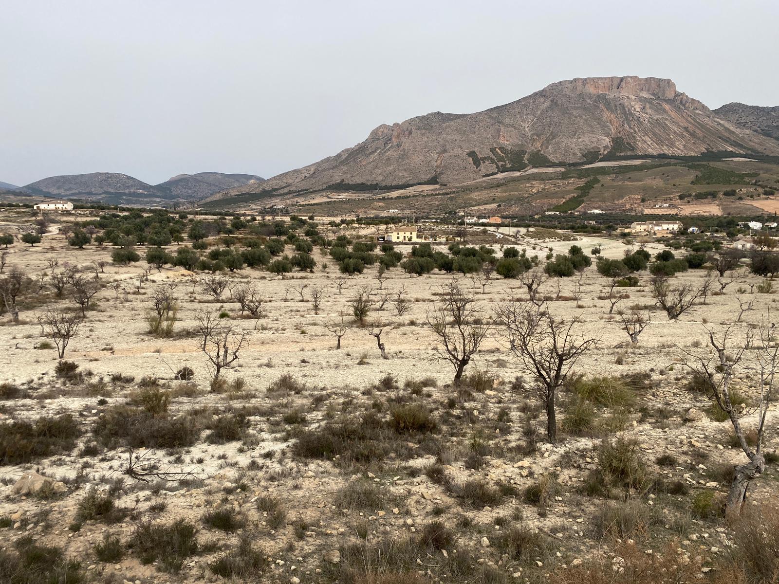 Venta de finca rústica en Vélez-Blanco