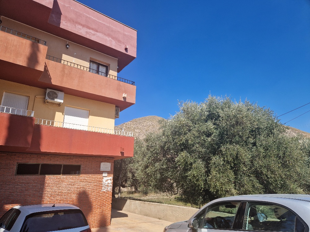 For sale of commercial in Cantoria