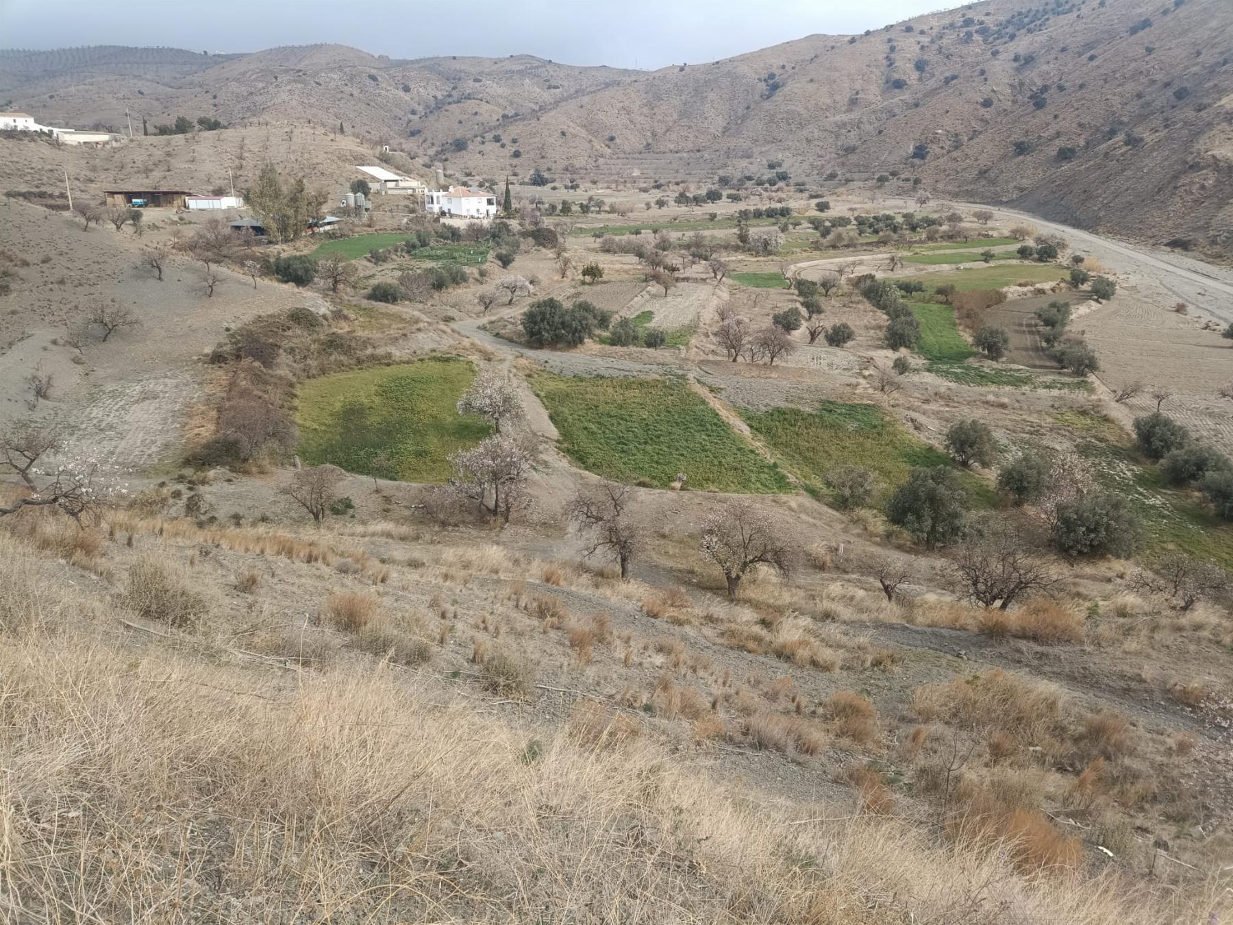 Venta de casa en Taberno