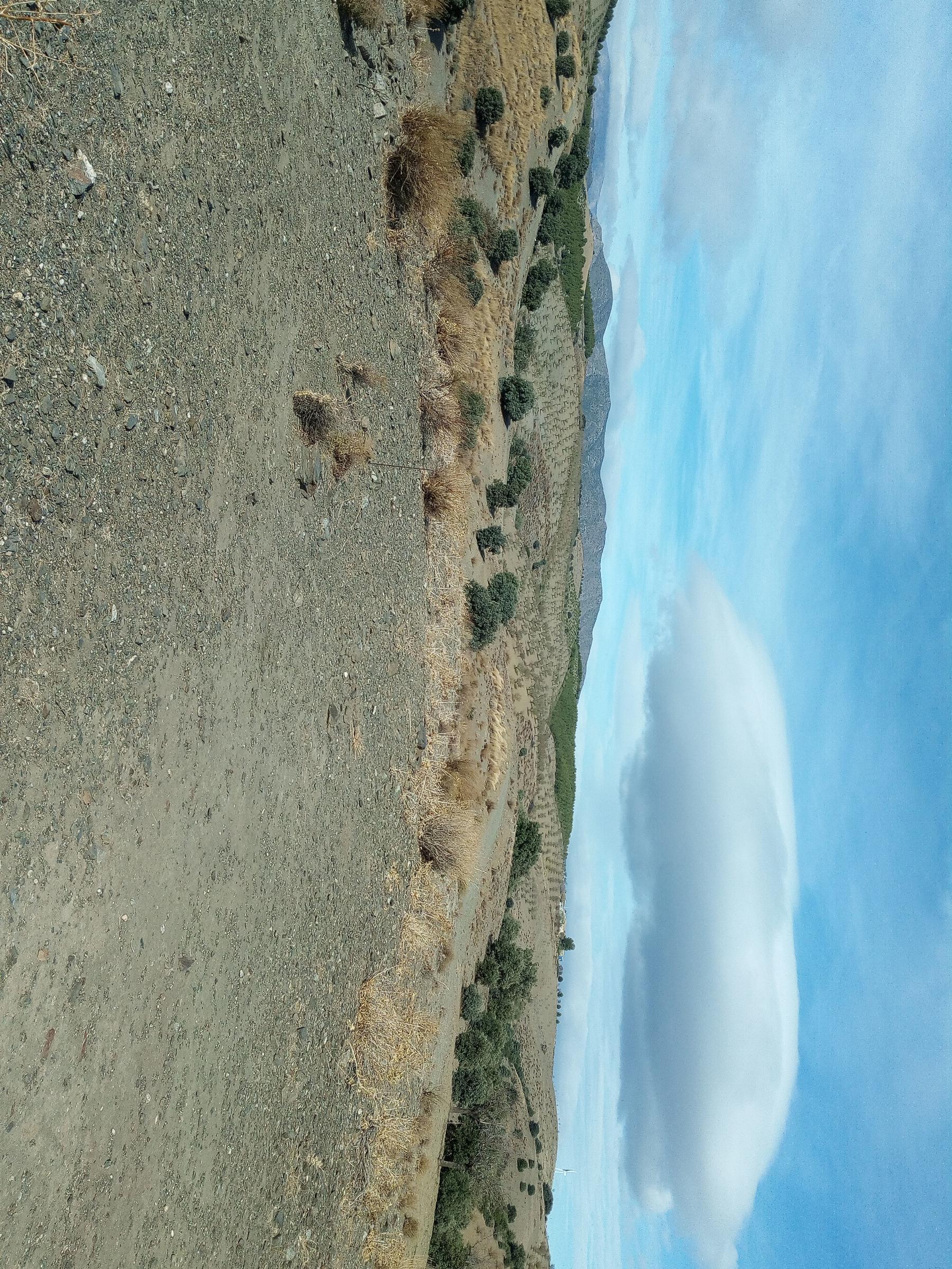 For sale of rural property in Taberno