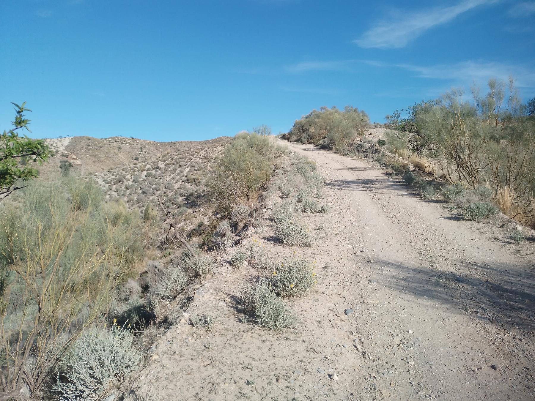 For sale of rural property in Cantoria