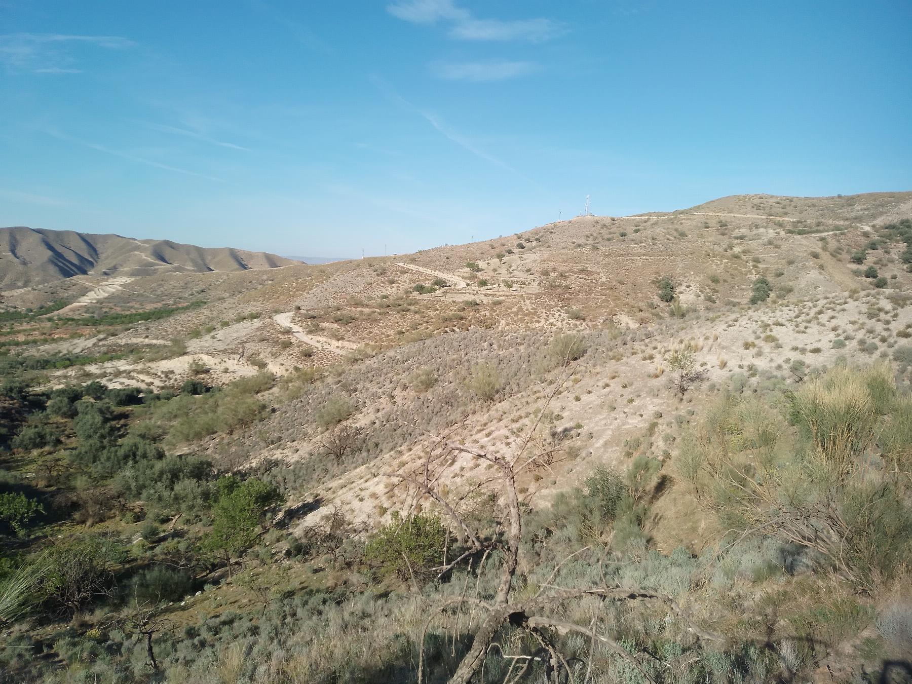 For sale of rural property in Cantoria