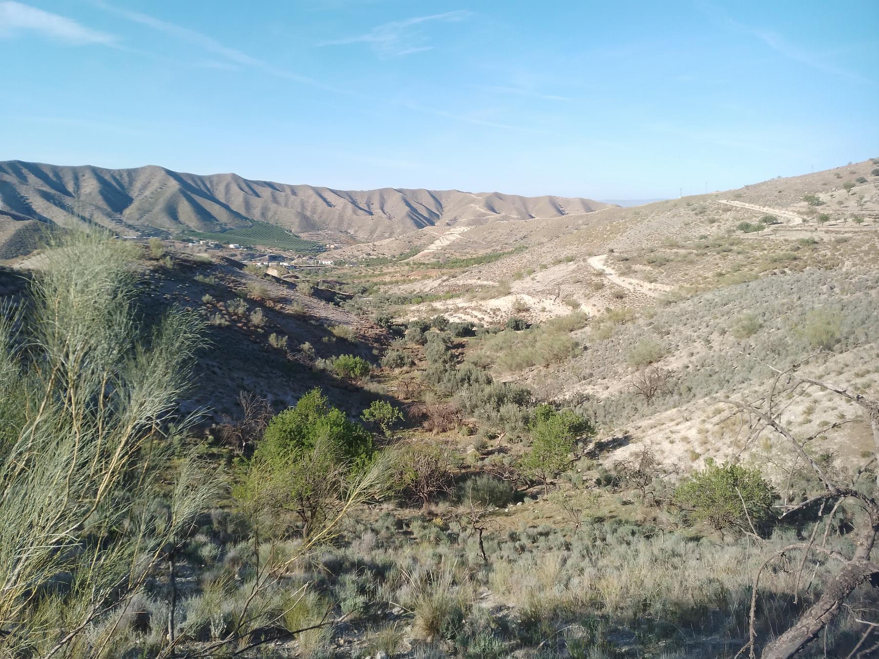 For sale of rural property in Cantoria