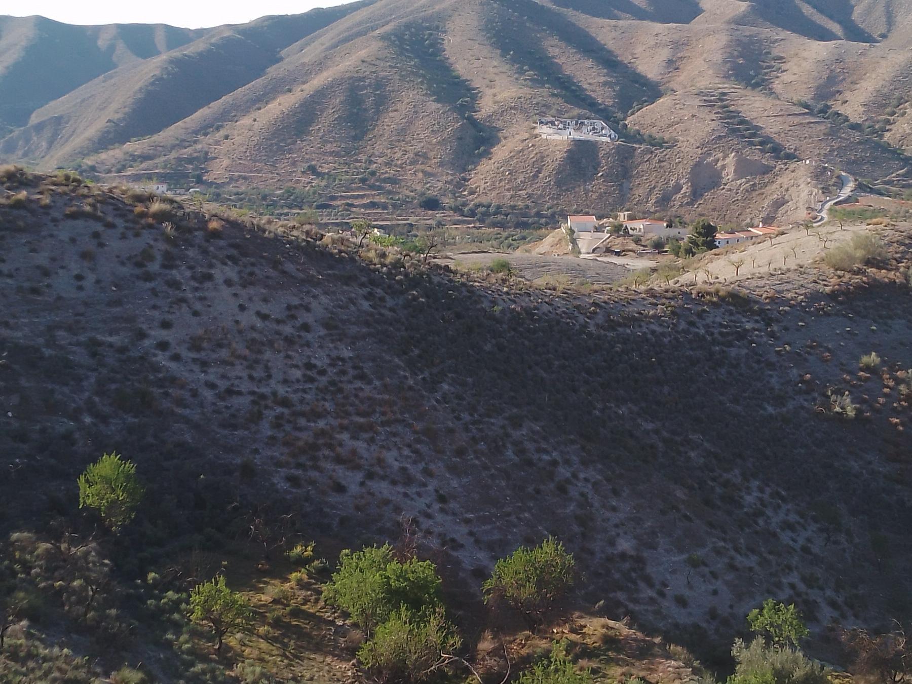 For sale of rural property in Cantoria