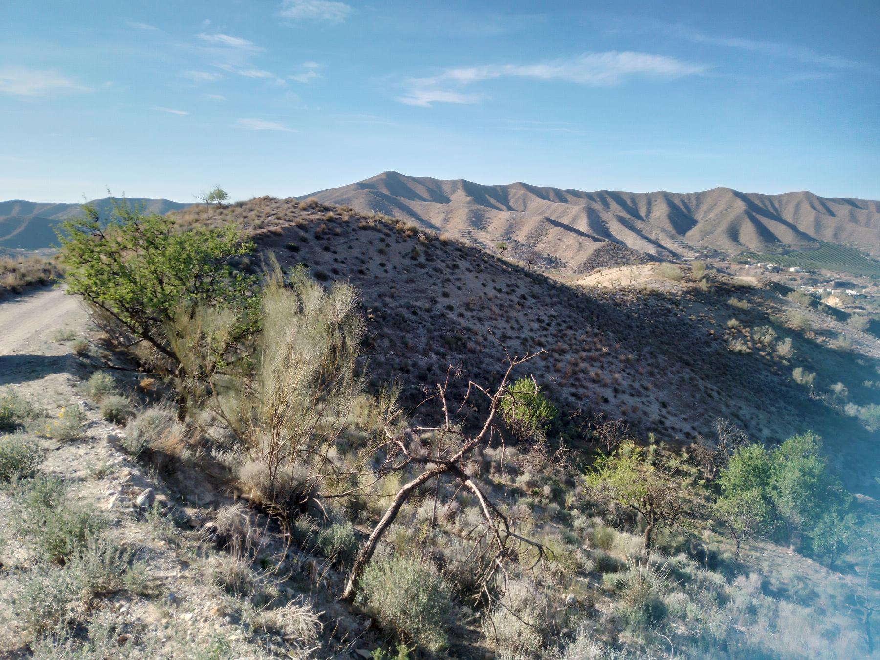 For sale of rural property in Cantoria
