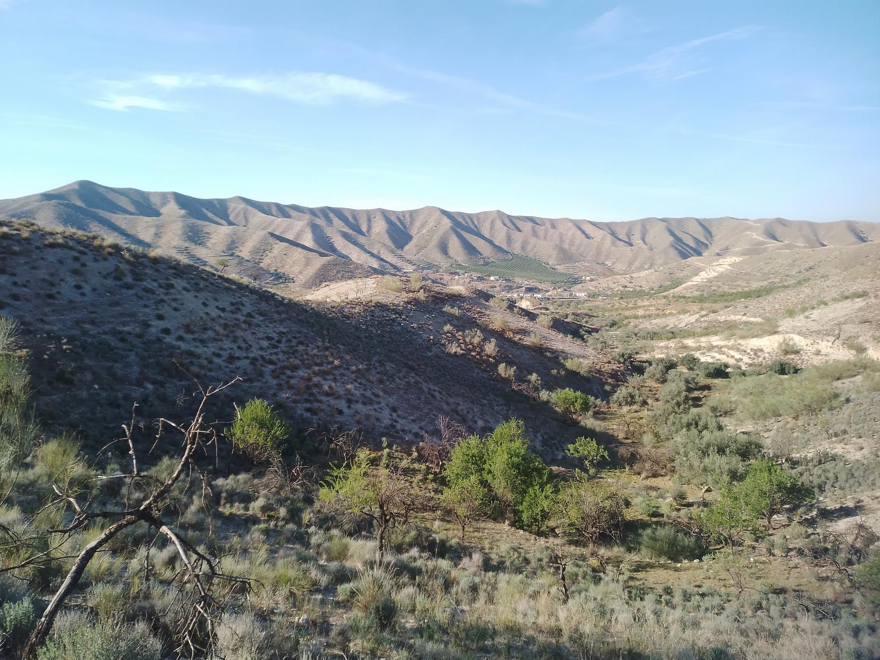 Venta de finca rústica en Cantoria