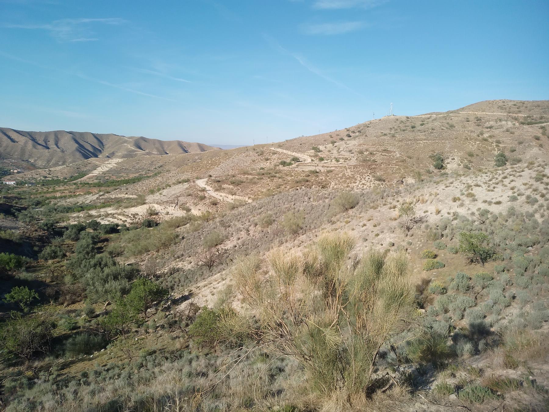 For sale of rural property in Cantoria
