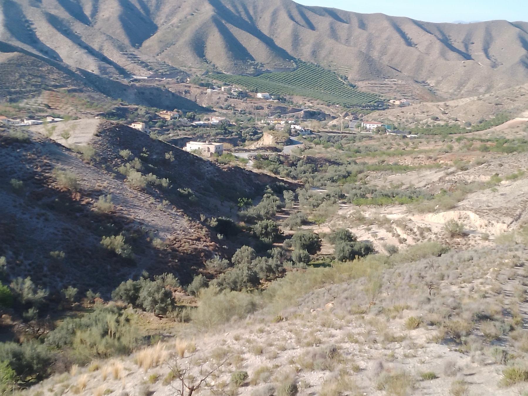 For sale of rural property in Cantoria