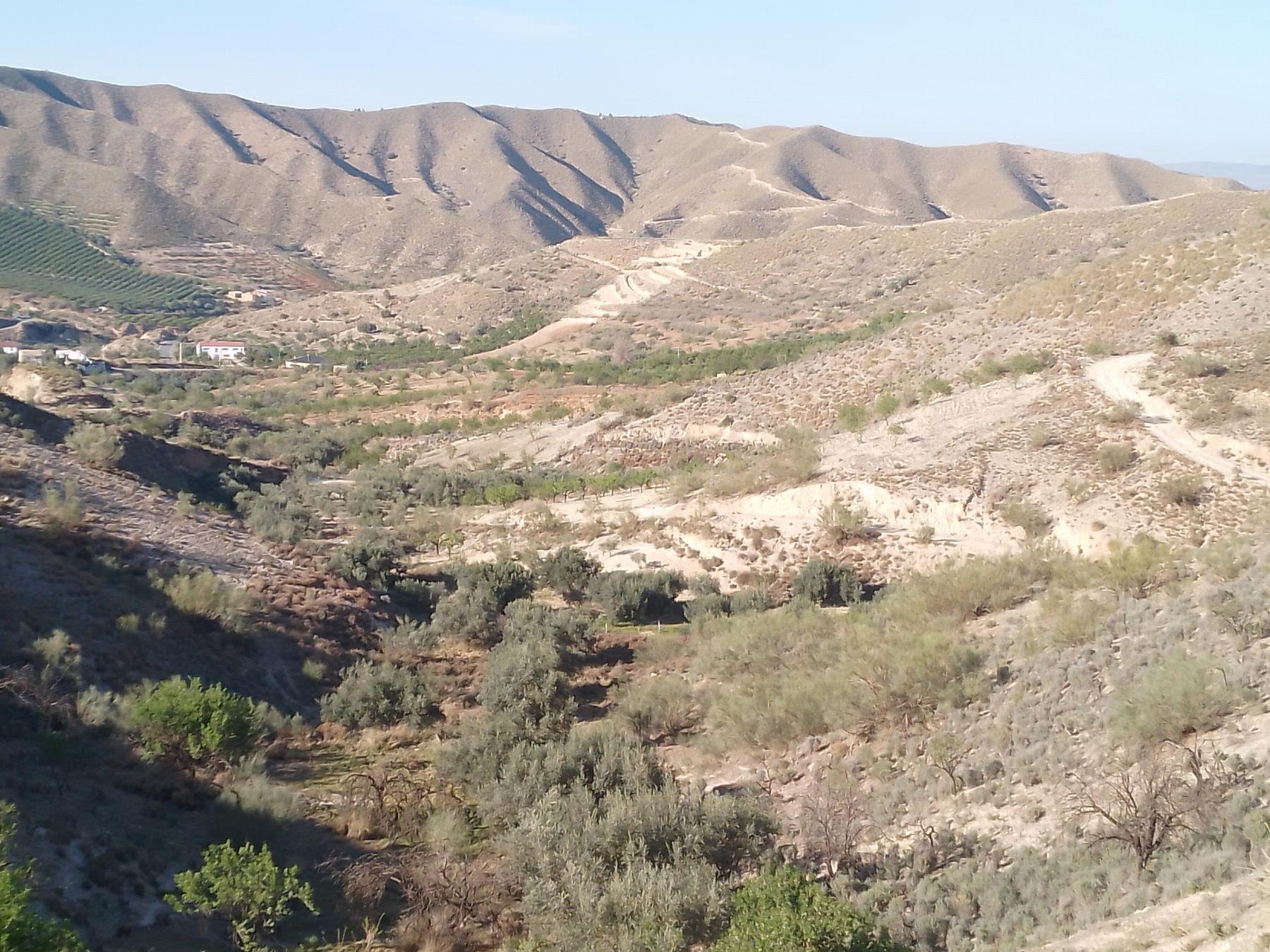 For sale of rural property in Cantoria