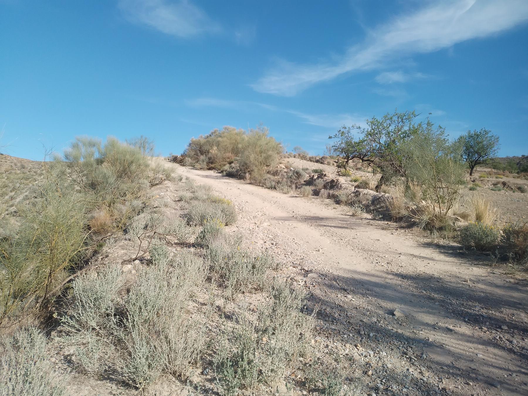For sale of rural property in Cantoria