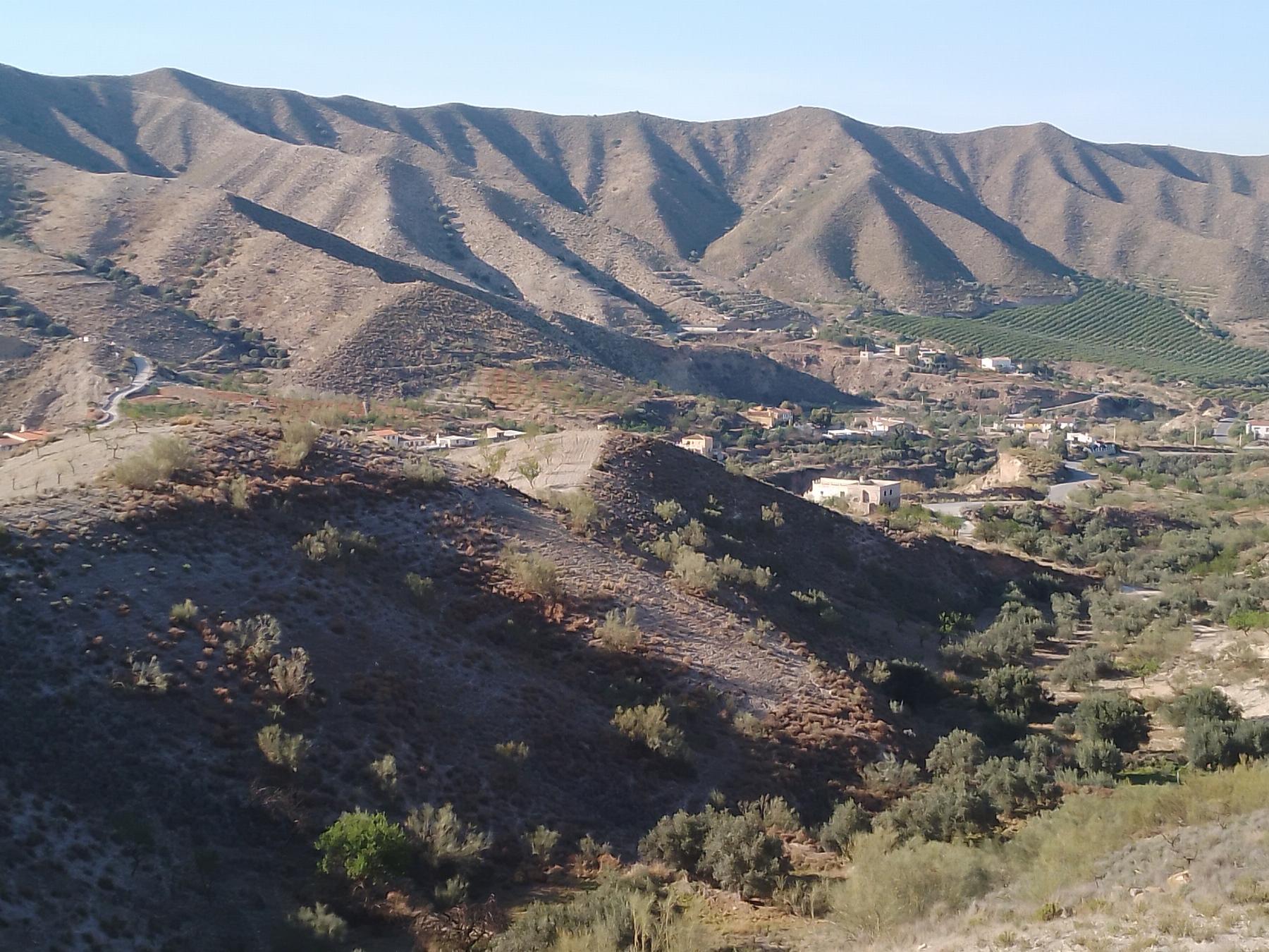 For sale of rural property in Cantoria