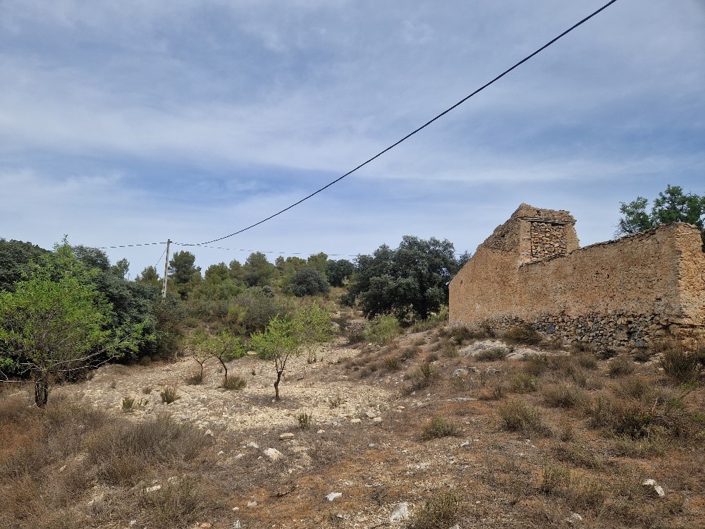 For sale of rural property in Oria