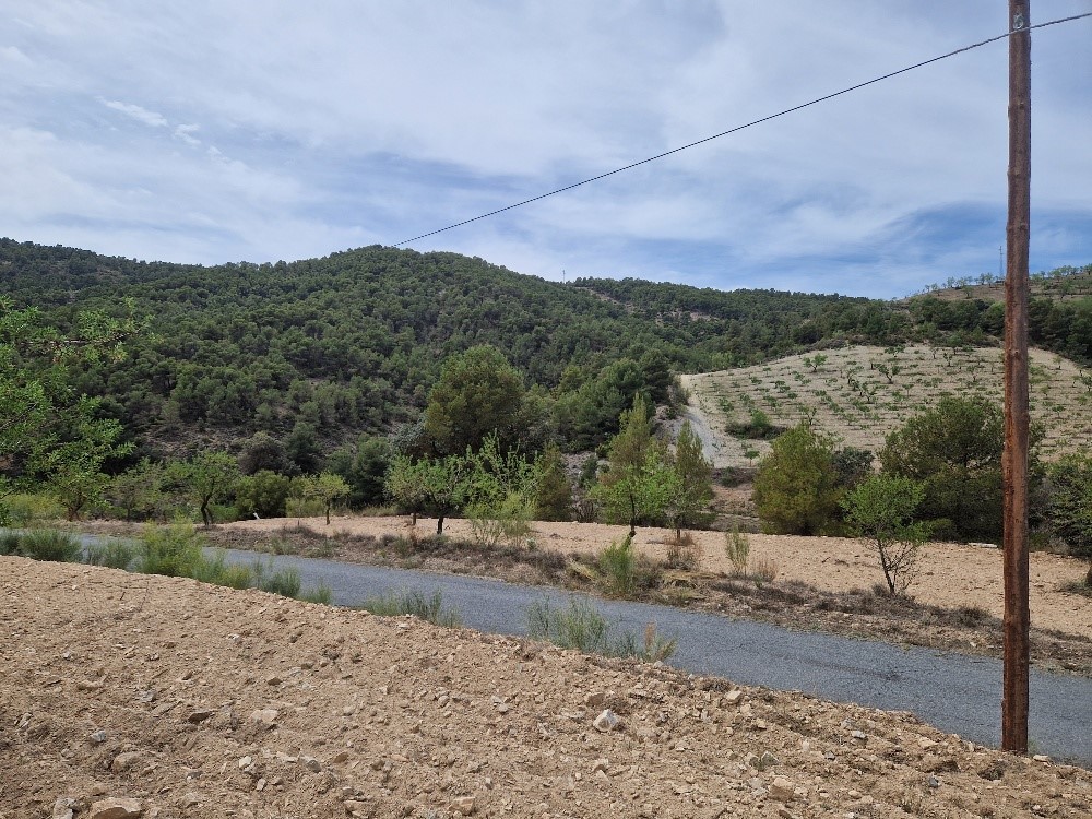 For sale of rural property in Oria