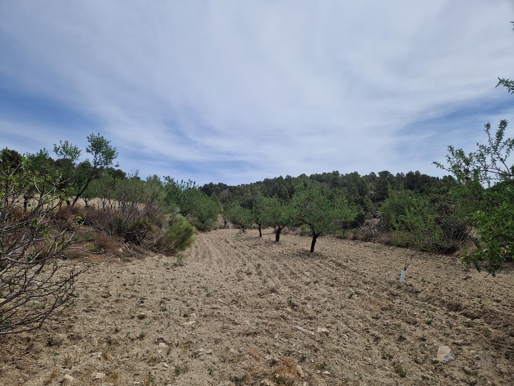 For sale of rural property in Oria