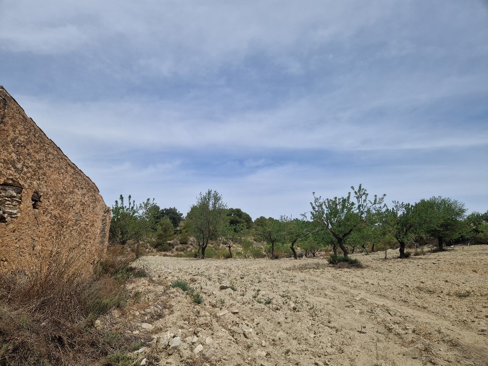 For sale of rural property in Oria
