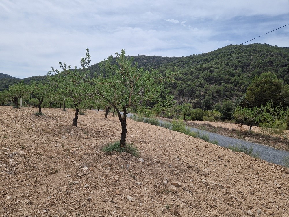 For sale of rural property in Oria