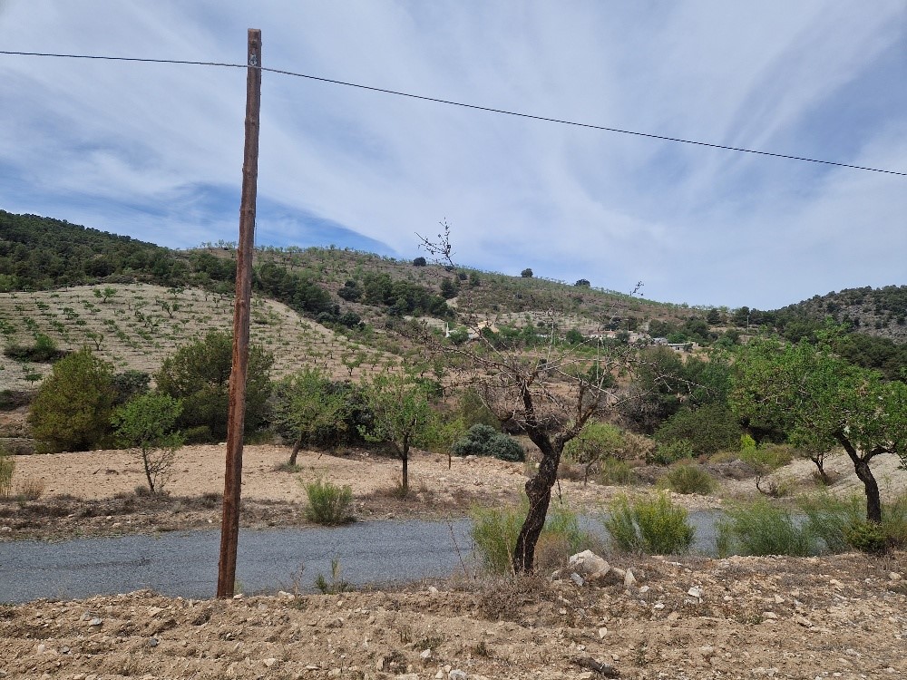 For sale of rural property in Oria
