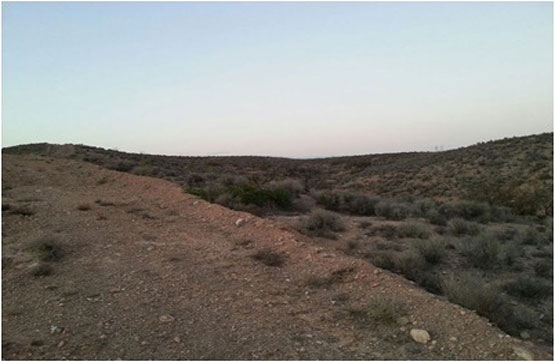 For sale of land in Albox