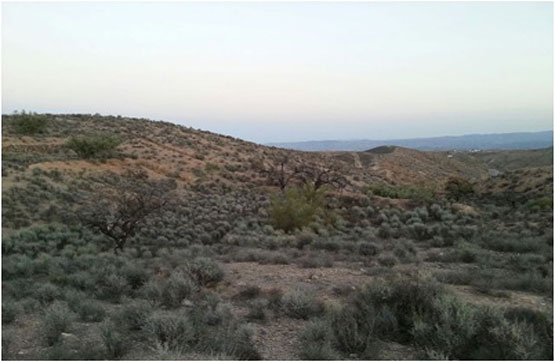 For sale of land in Albox