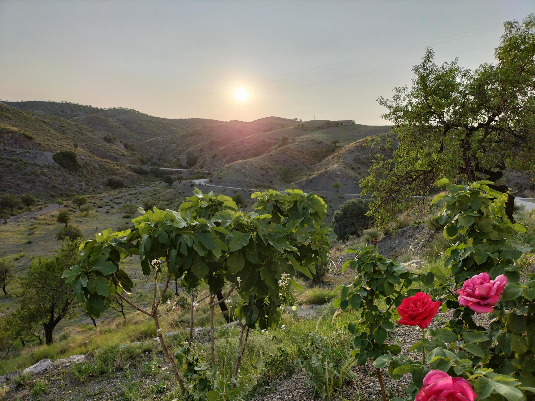 For sale of house in Taberno
