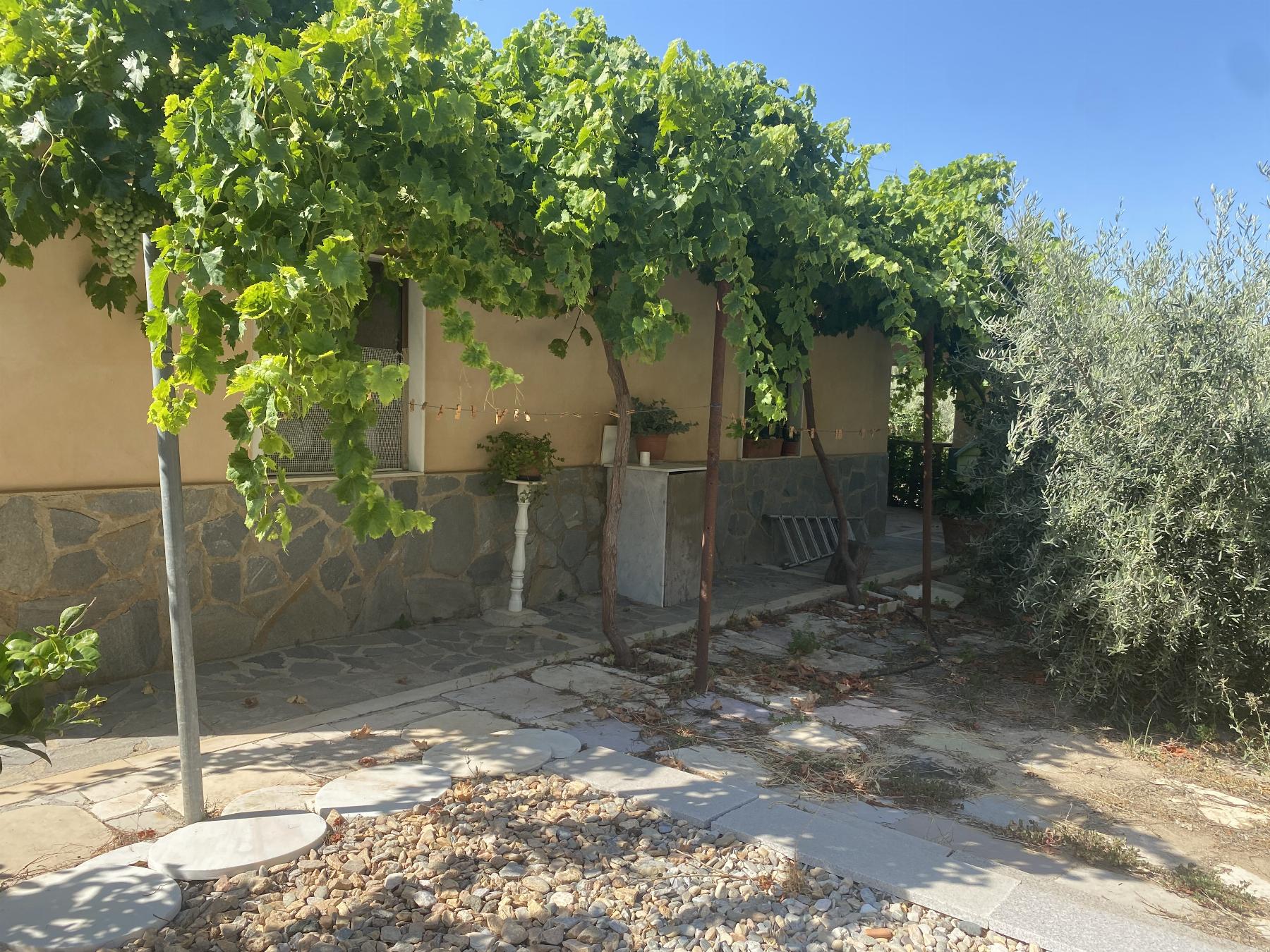 For sale of rural property in Macael