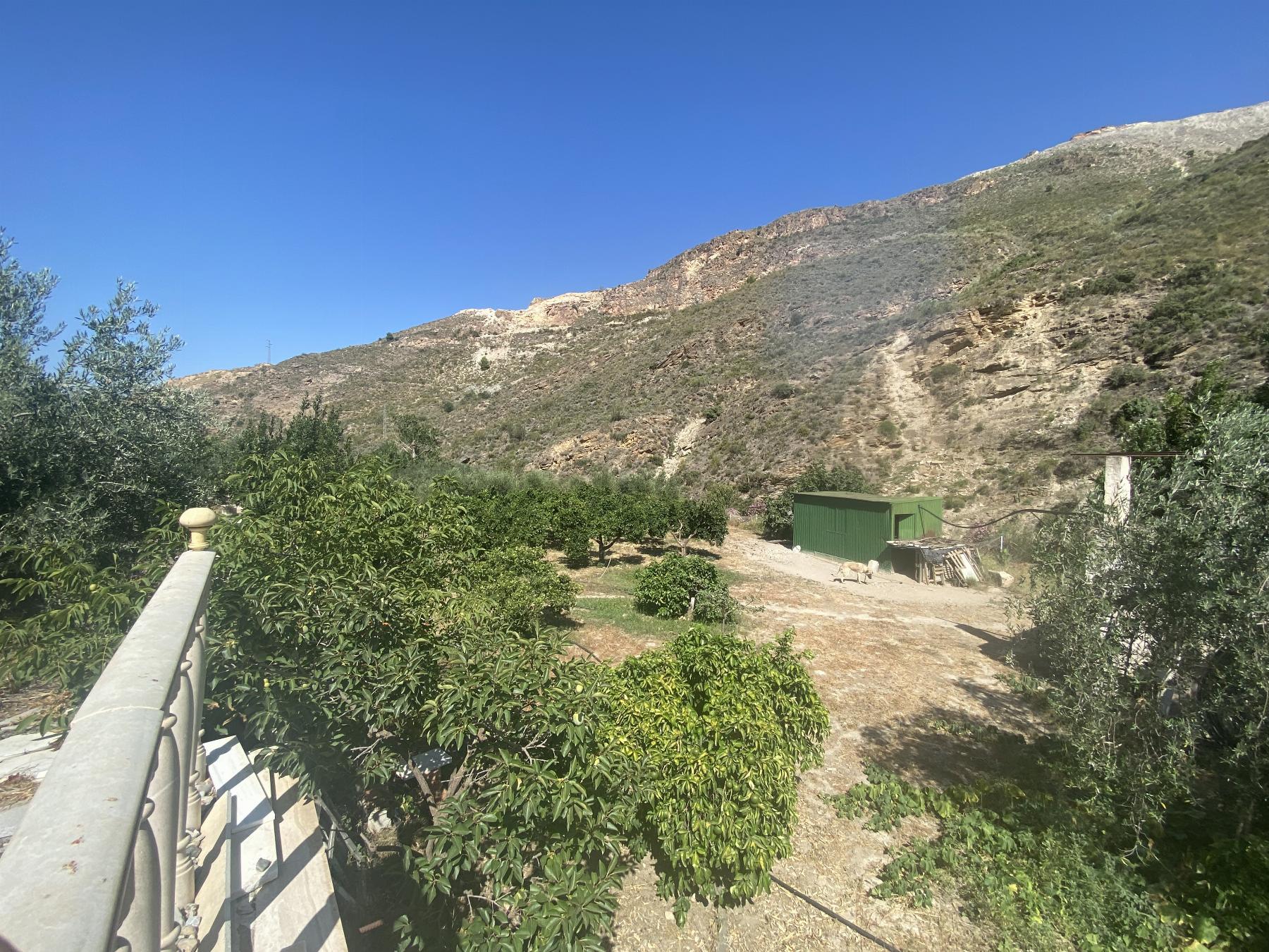 For sale of rural property in Macael