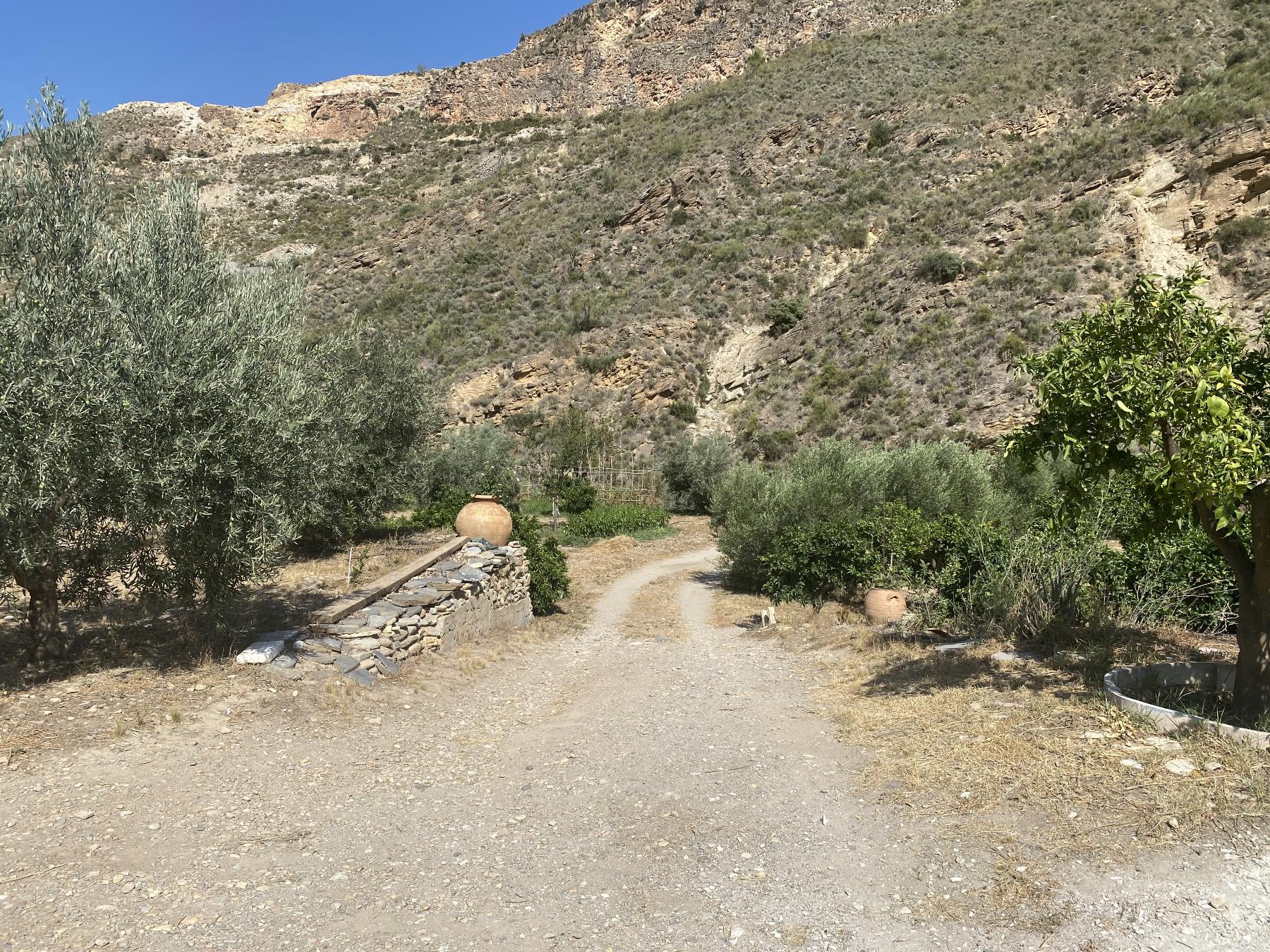 For sale of rural property in Macael