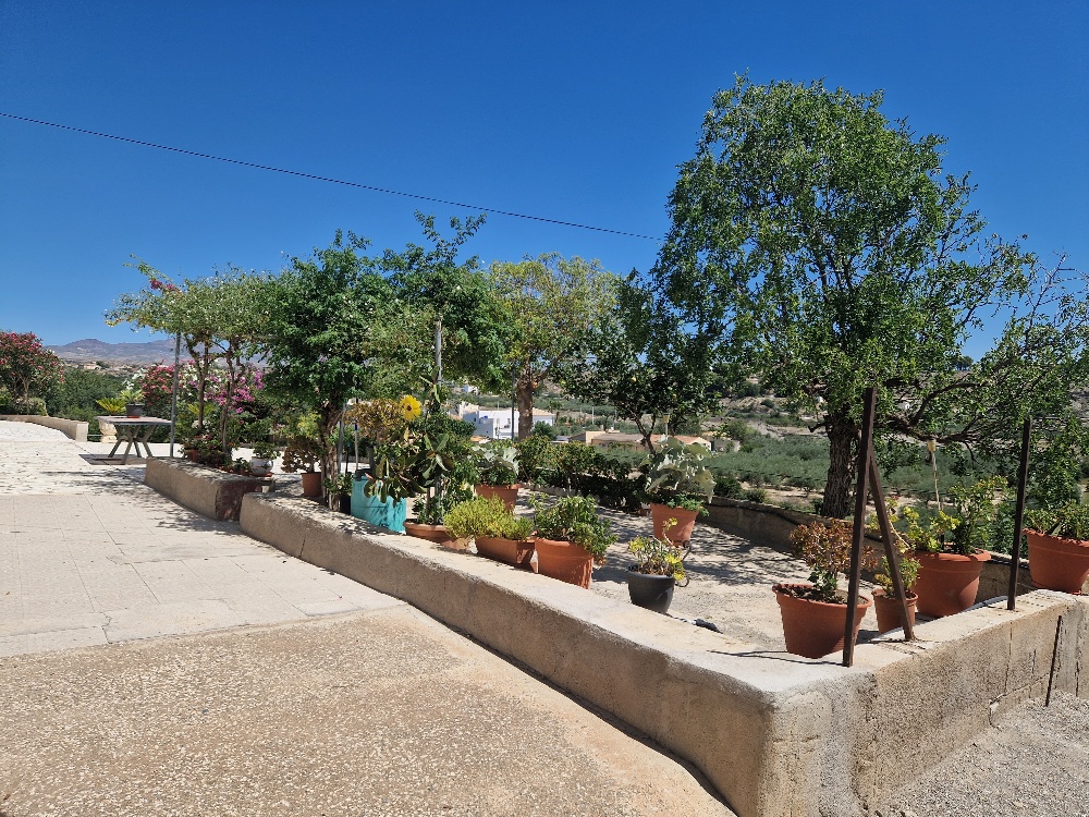 Venta de chalet en Albox