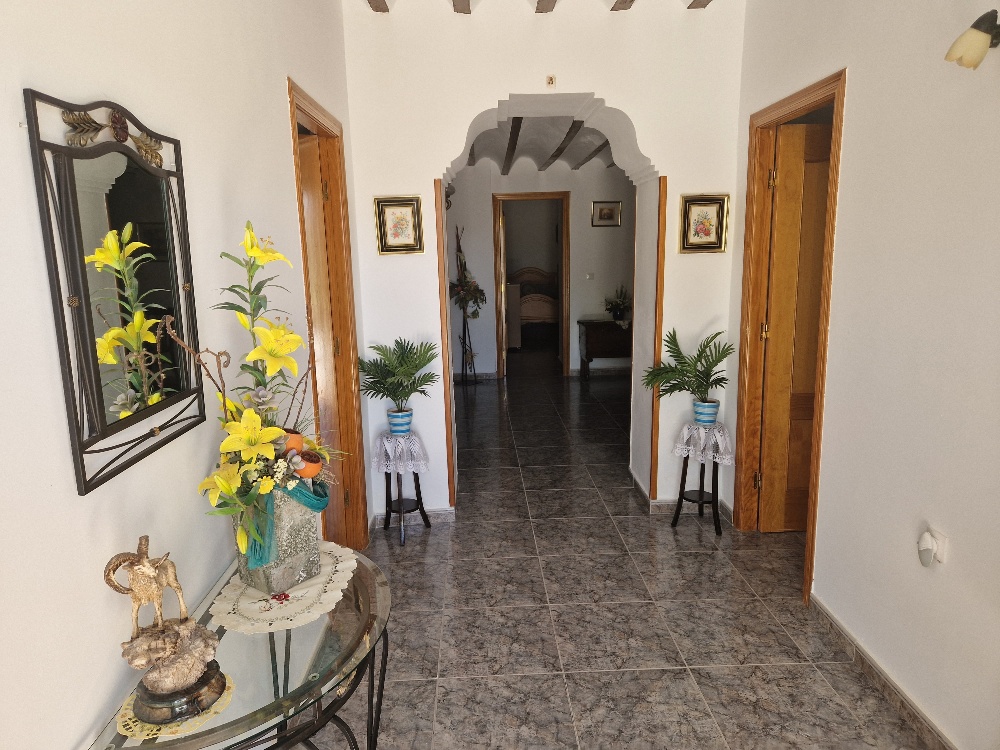 Venta de chalet en Albox