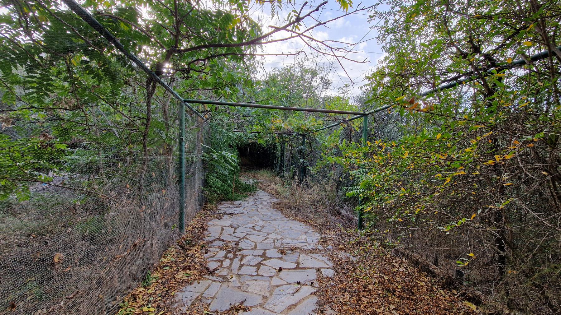 For sale of house in Albánchez