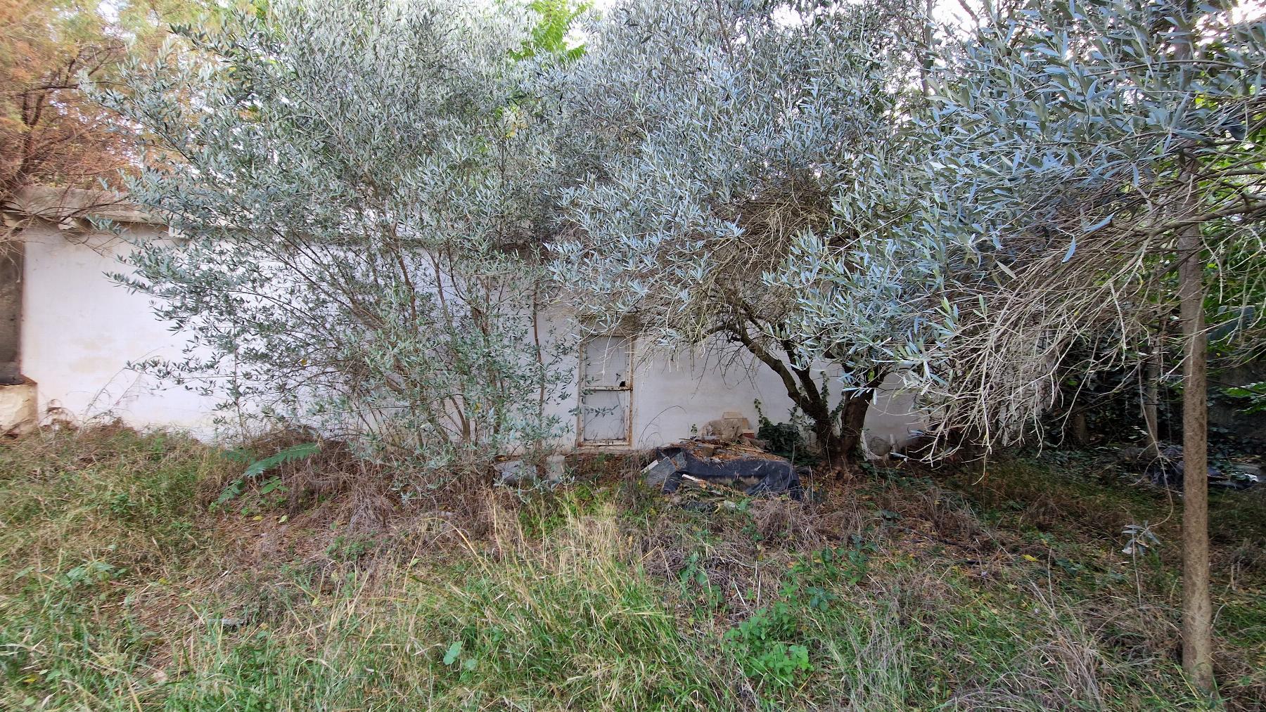 For sale of house in Albánchez