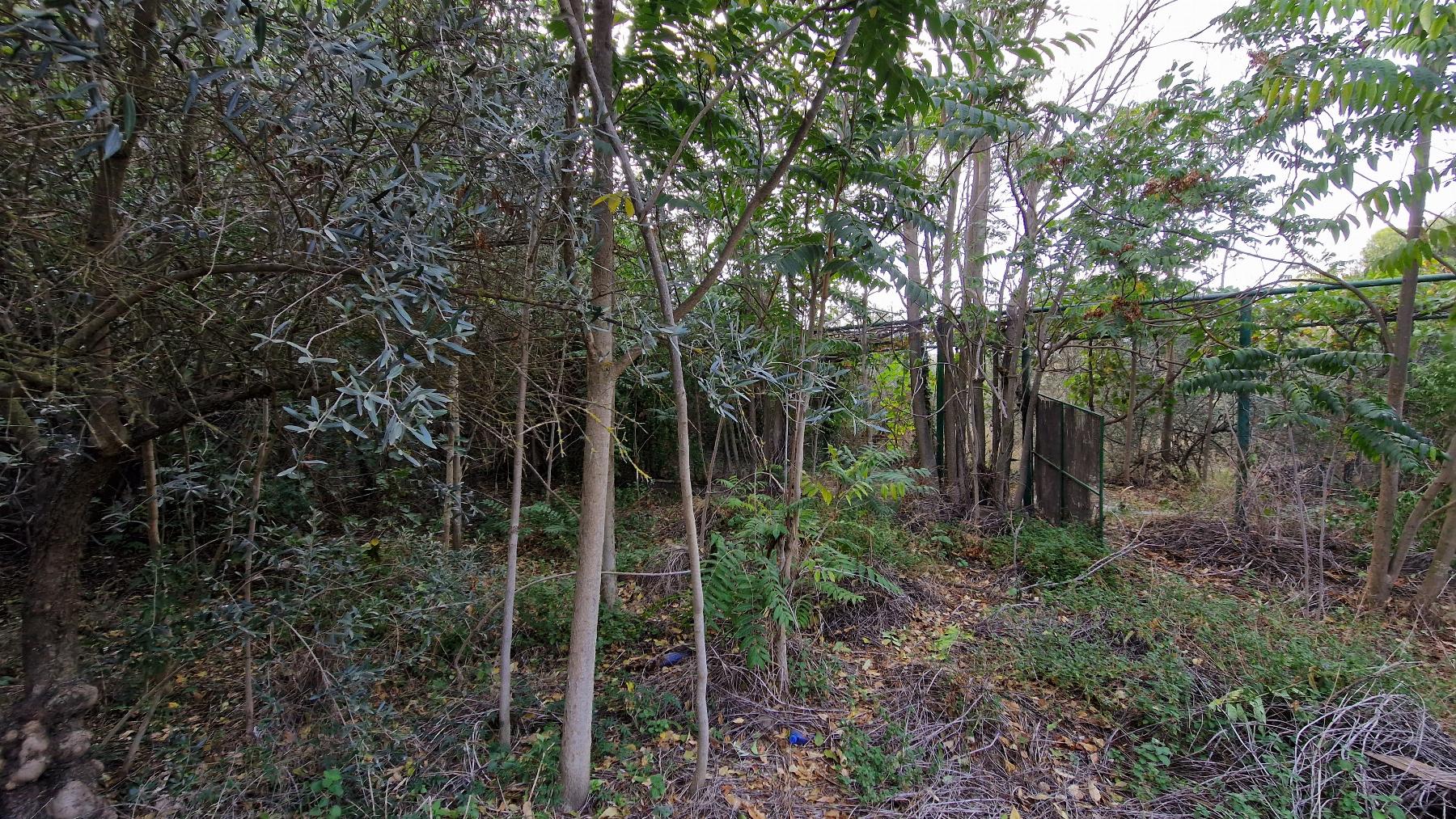 For sale of house in Albánchez