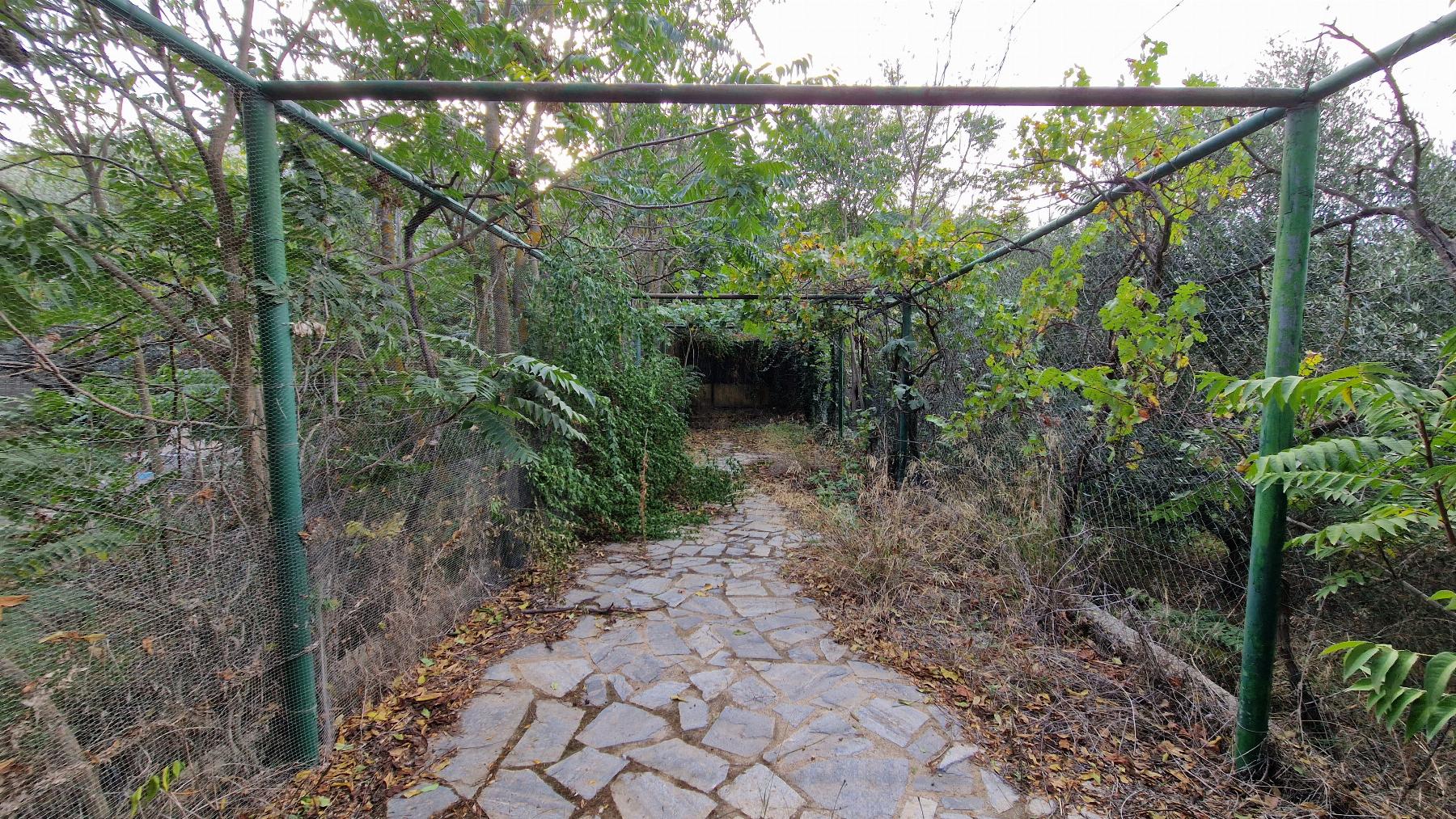 For sale of house in Albánchez