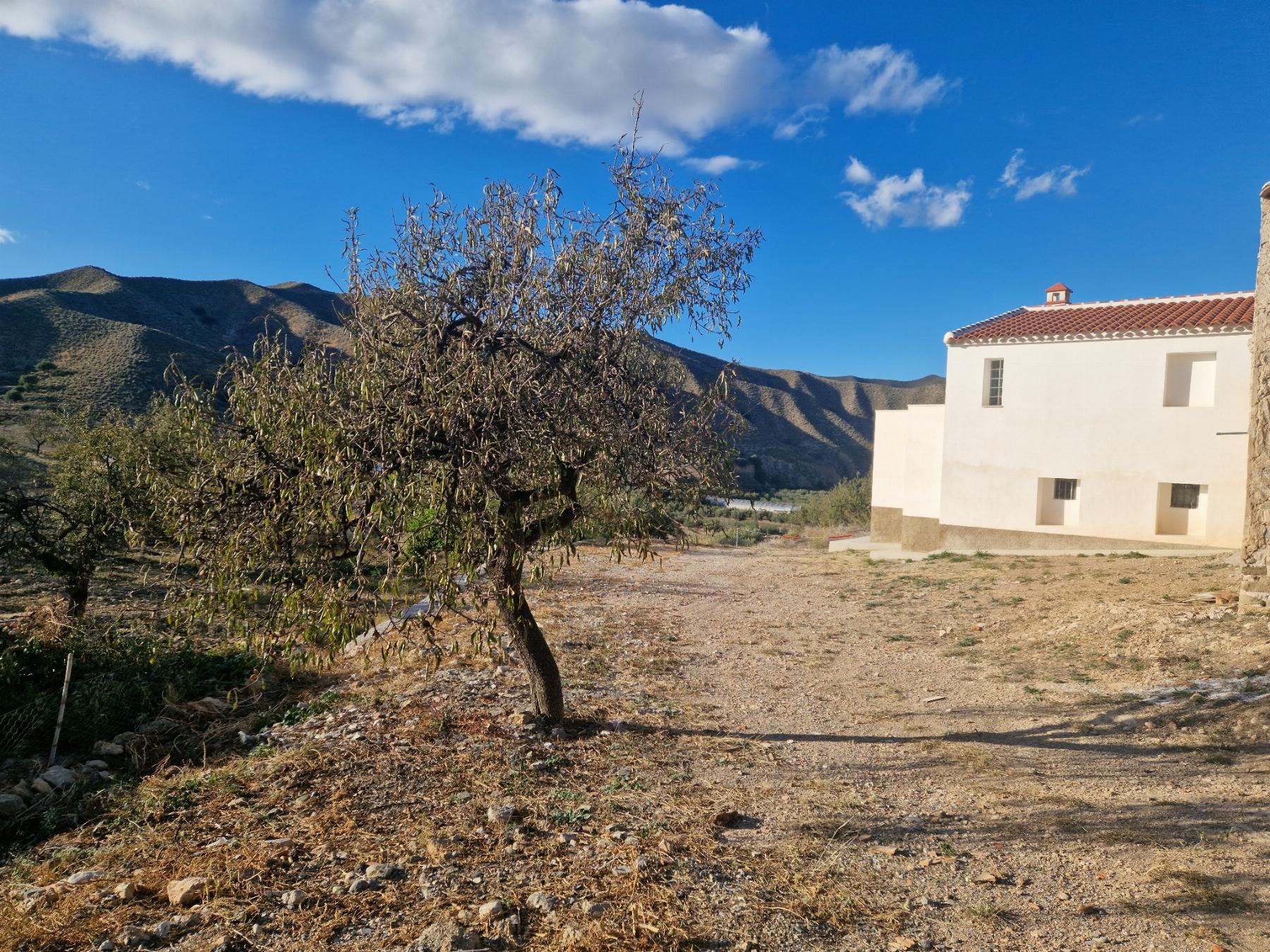 For sale of house in Arboleas