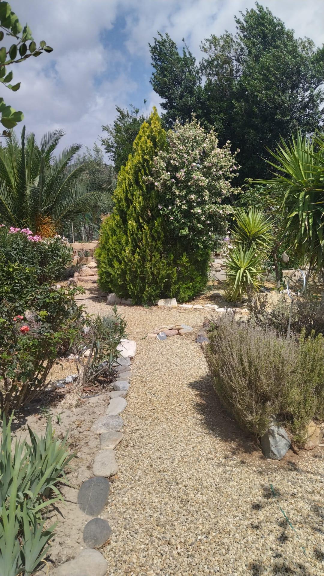 For rent of house in Cantoria