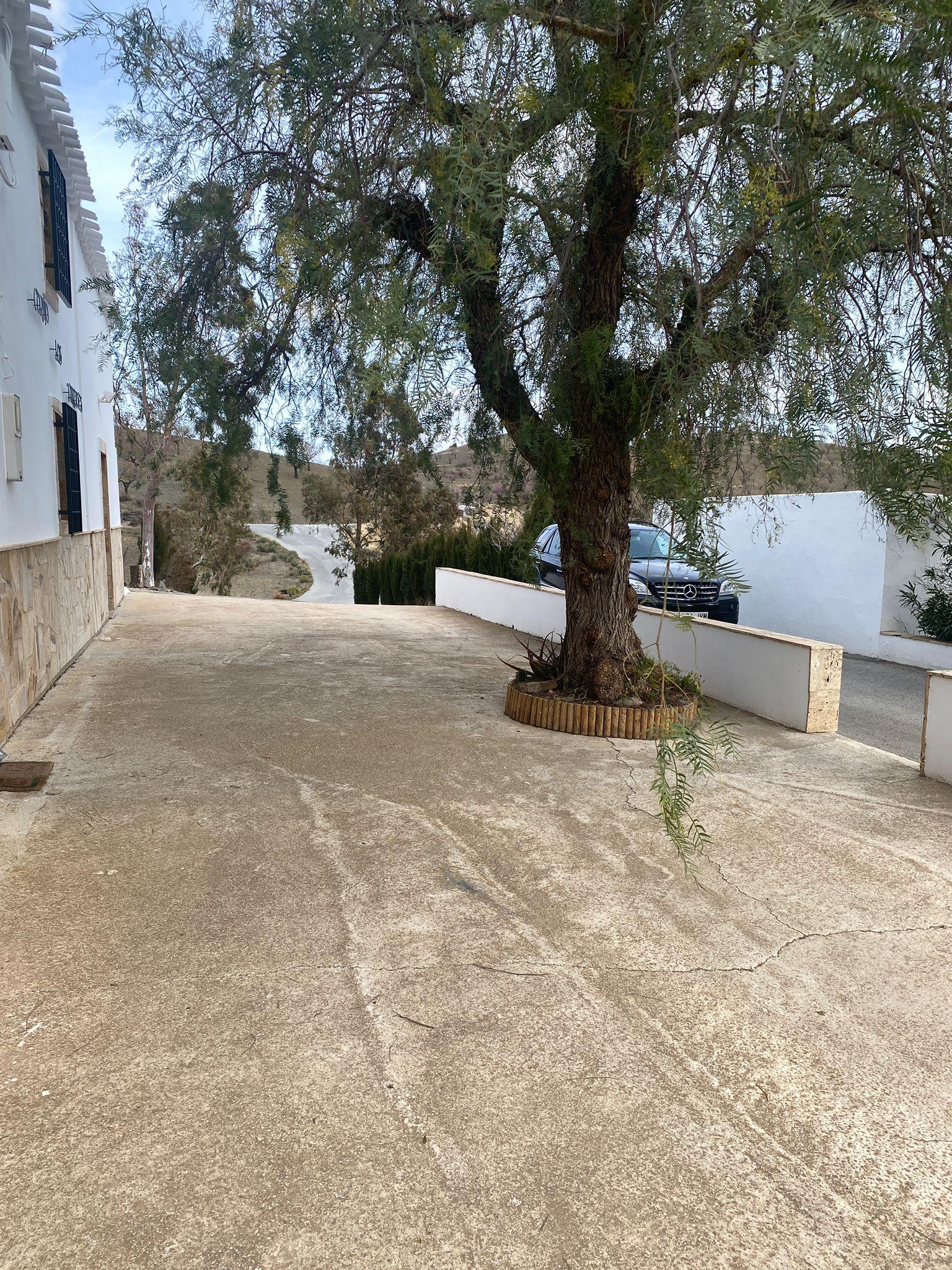 For rent of house in Vélez-Rubio
