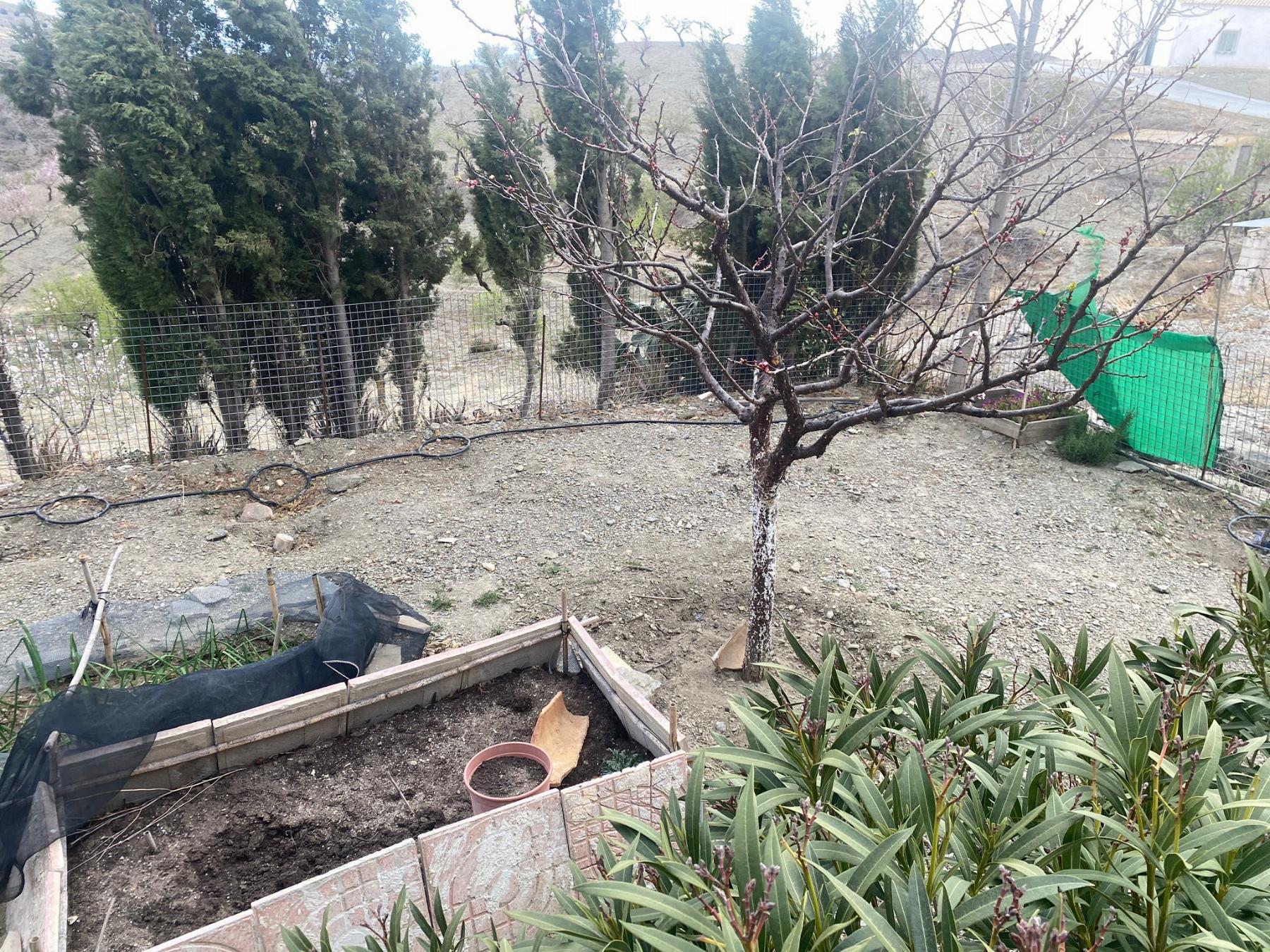 For rent of house in Vélez-Rubio