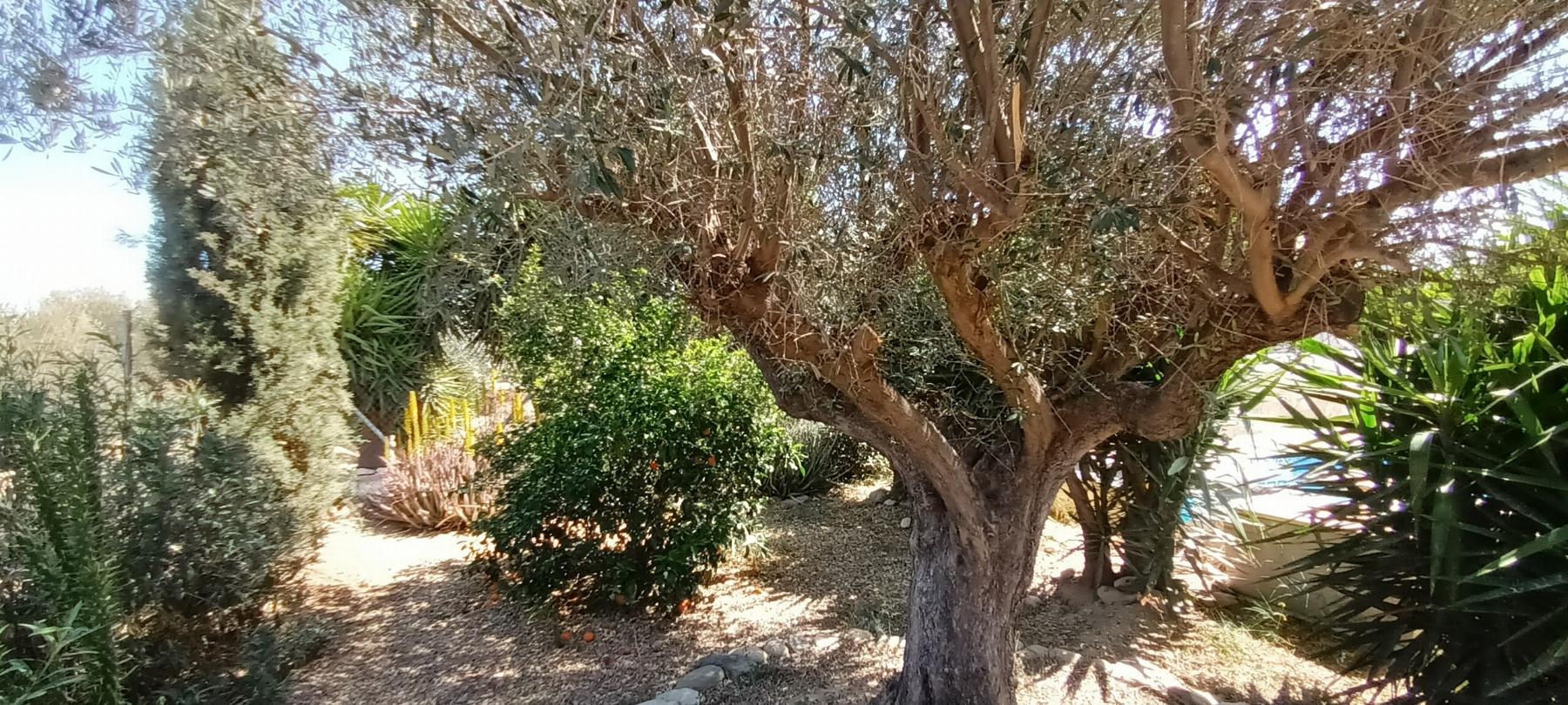 Venta de villa en Almanzora