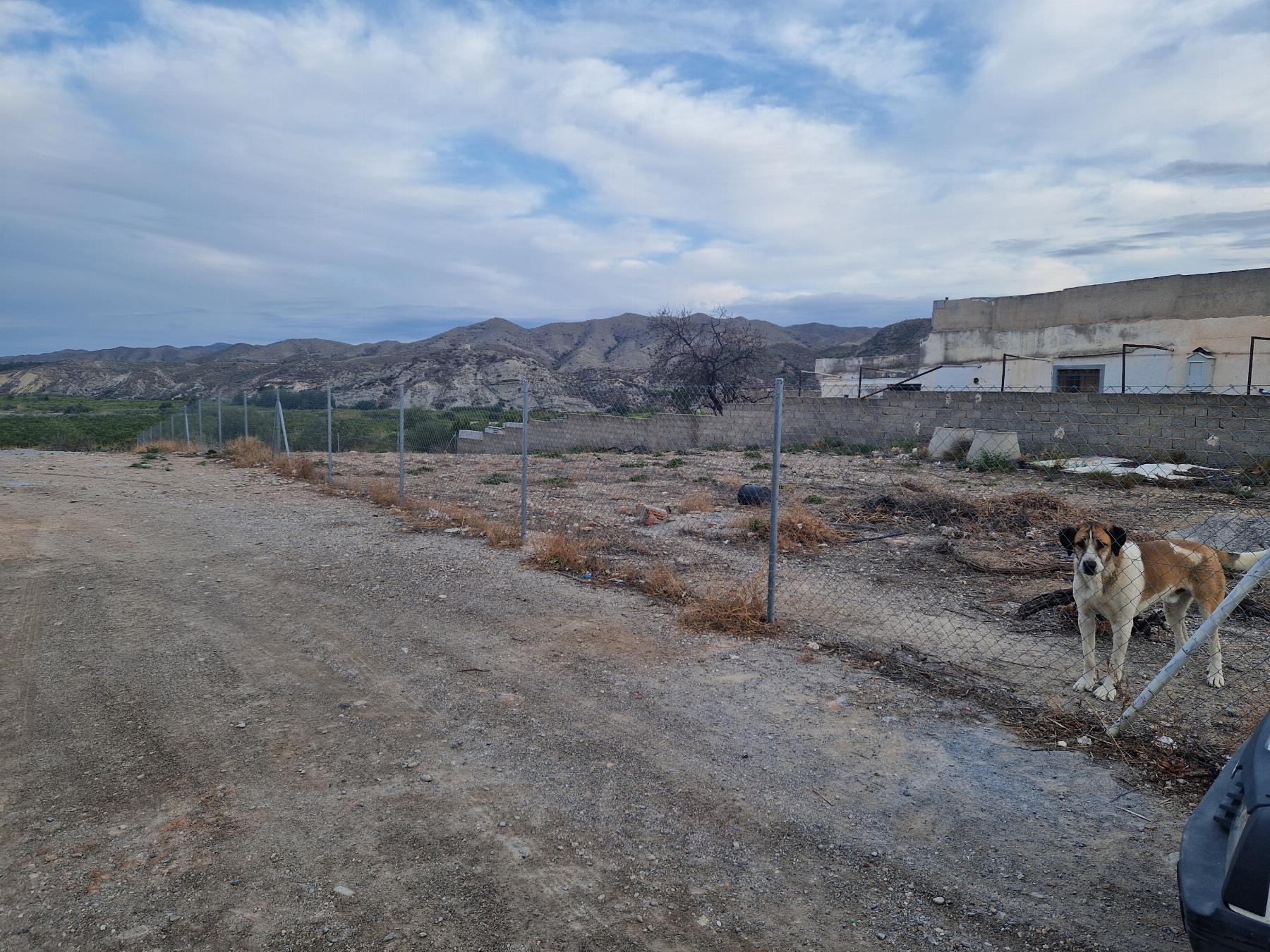 For sale of land in Almanzora