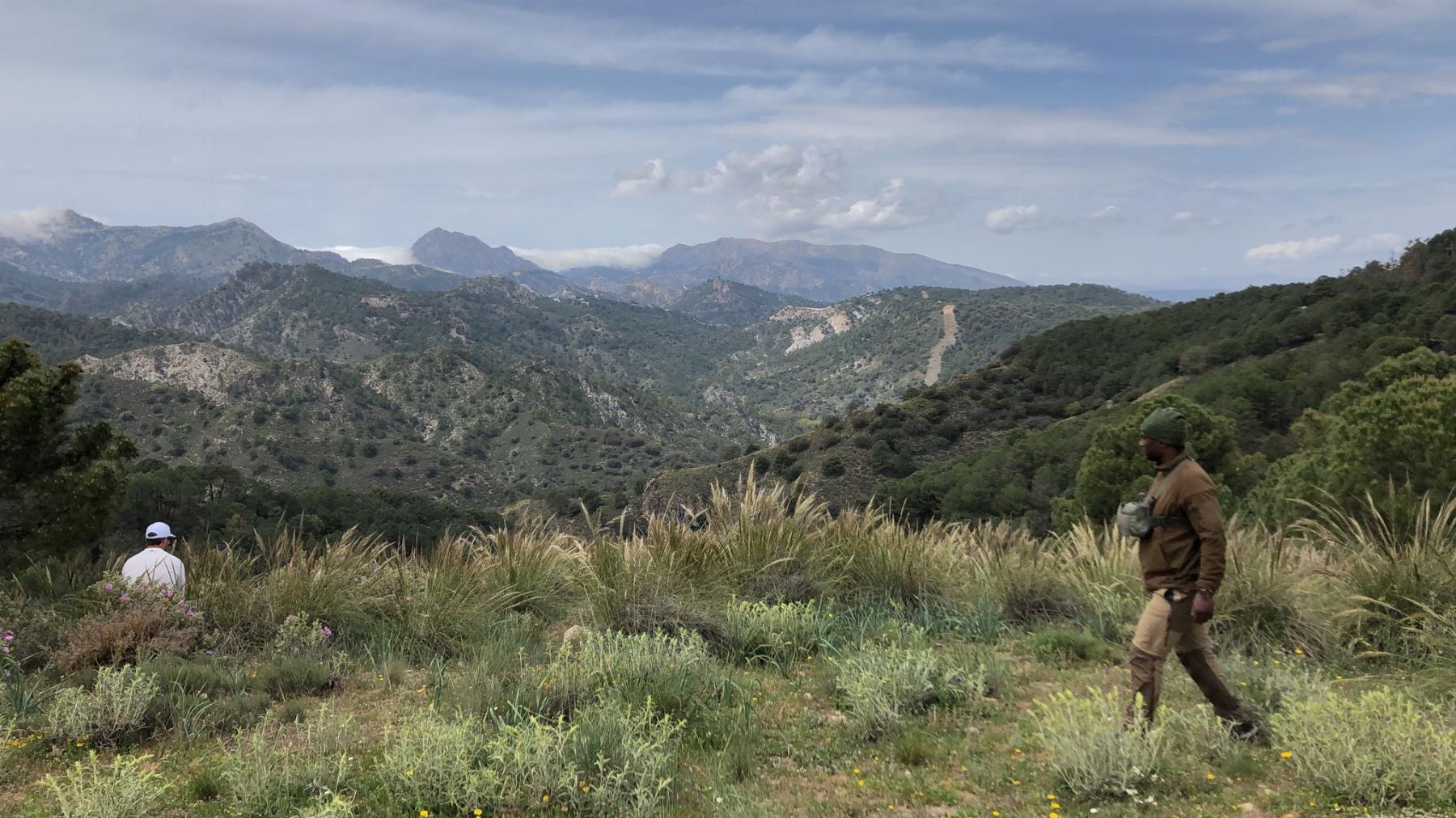 For sale of land in Almanzora