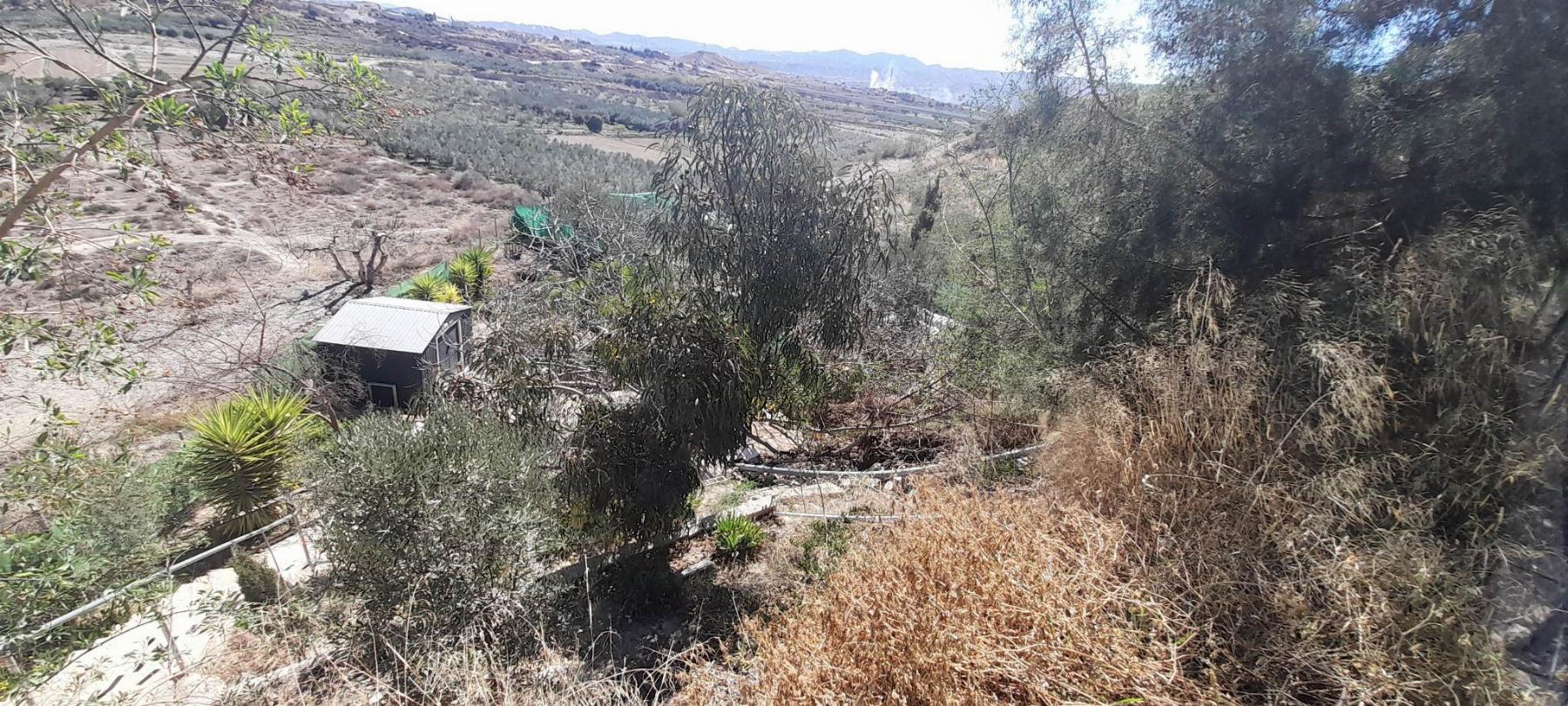 For sale of house in Albox