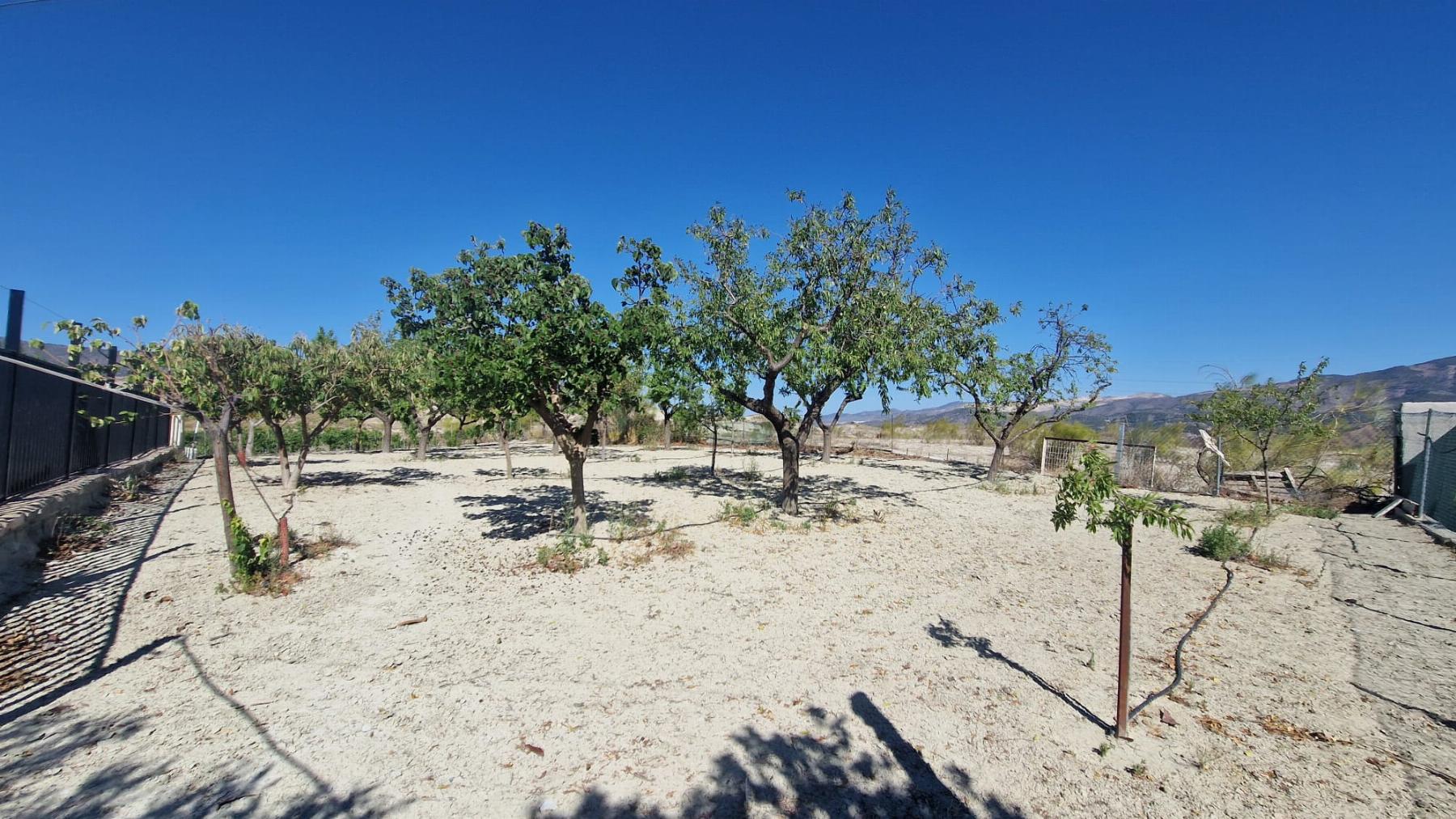 For sale of villa in Somontín