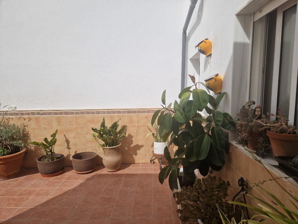 For sale of house in Cantoria