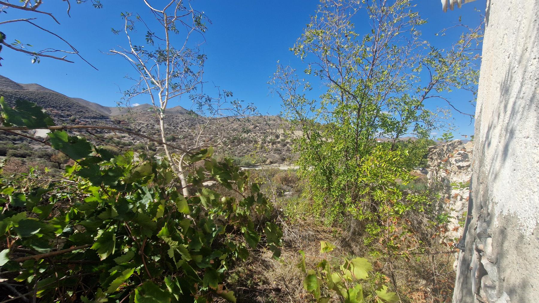 For sale of house in Arboleas