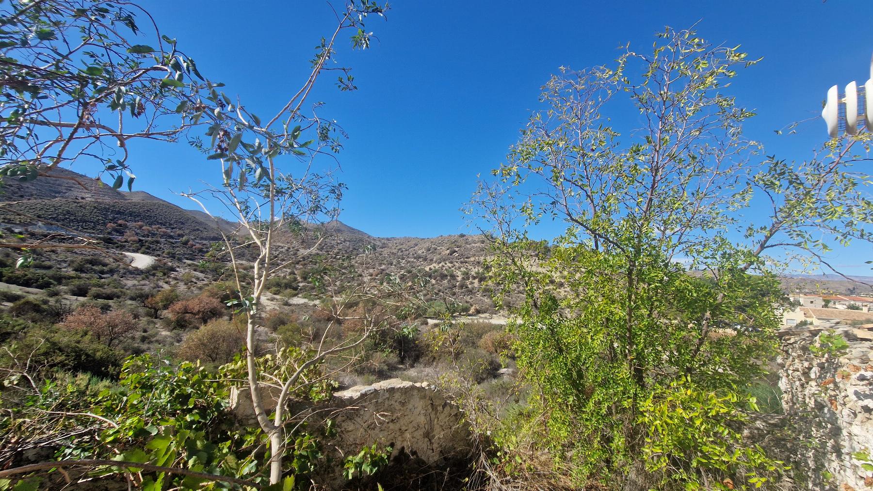 For sale of house in Arboleas
