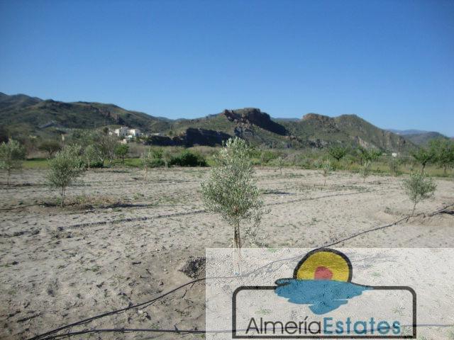 For sale of land in Cantoria