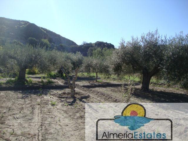 For sale of land in Cantoria
