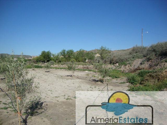 For sale of land in Cantoria