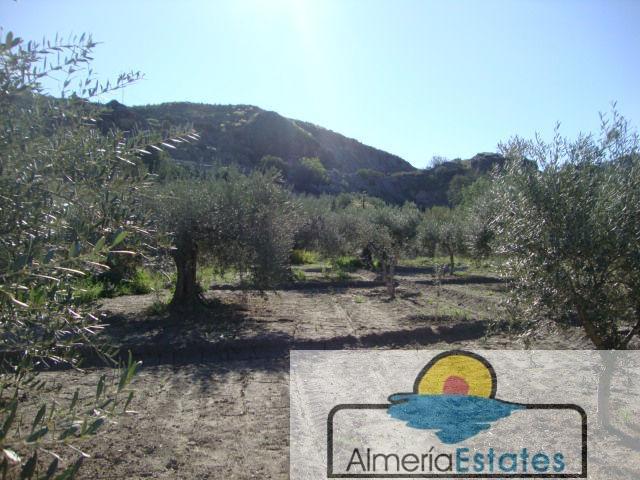 For sale of land in Cantoria